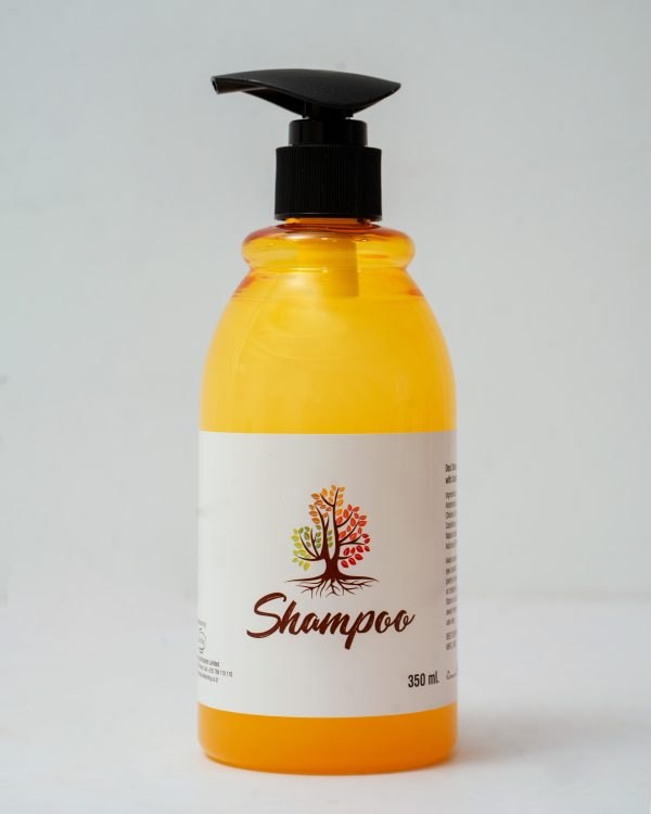 Hotel Amenities - Image 2